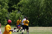 OTFL Gallery Image